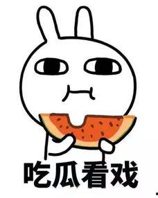 娱乐吃瓜酱很火吗,网络热度的秘密解析